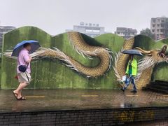 -黄桷坪涂鸦艺术街