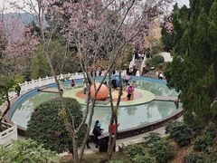 -墨江北回归线标志园