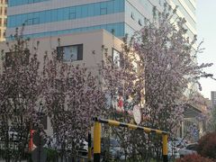 -居然之家(黑龙江南路店)