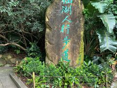 -深圳仙湖植物园
