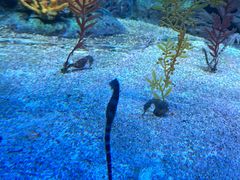 -上海海洋水族馆