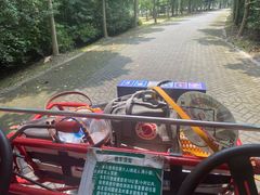 -上海海湾国家森林公园