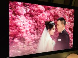 -太郎花子婚纱摄影艺术中心