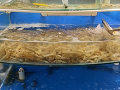 -四海蒸鲜蒸汽海鲜自助(北戴河店)