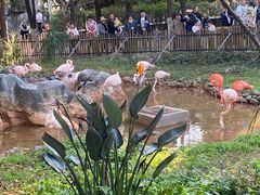 -昆明动物园