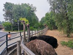 -大连森林动物园