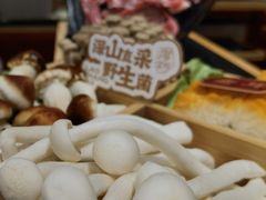 -廖掌柜·重庆鲜货火锅(上海首店)