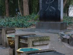 -兰亭风景区