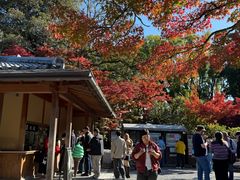 -豆政(金閣寺境内売店)