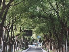 -杭州半山国家森林公园