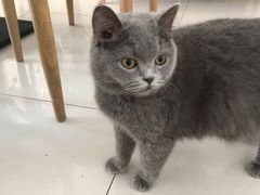 -平行世界·猫咖(首经贸店)