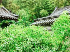 -竹泉村旅游度假区