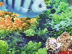 -海洋之星休闲汗蒸浴场