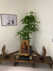 -馨媛瑜伽普拉提