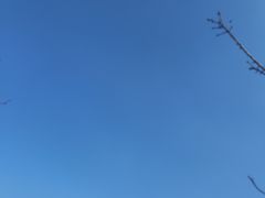 -新江湾城公园