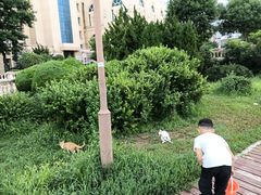 -黑石礁公园