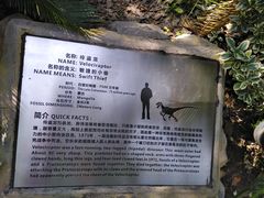 -自然谷恐龙园