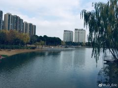 -南翔镇银翔湖公园