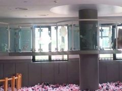 -龙格亲子游泳·水育早教运动中心(绿城店)