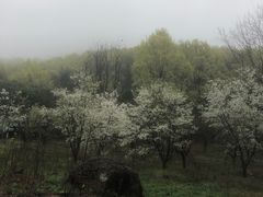 -南京市无想山景区