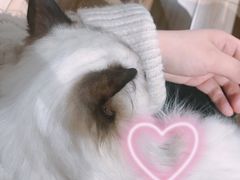 -听TA说宠咖·宠物生活馆(天韵水岸店)