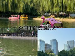 -团结湖公园