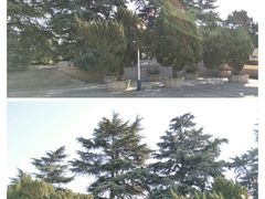 -郑州烈士陵园(二七区)