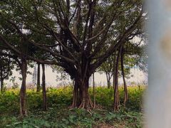 -广州市番禺中心医院(主院区)