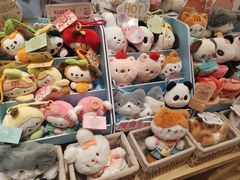 -猫的天空之城概念书店(印象城购物中心店)