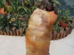 -SM广场