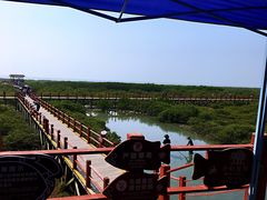 -北海金海湾红树林生态旅游区