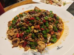 -龙翔山庄雷鸡肉(青城后山泰安古镇店)