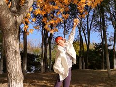 -大兴滨河森林公园