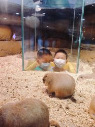 -Mr·Kuma酷么先生雪之乐园