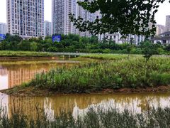 -沐仙湖湿地公园
