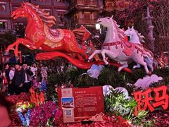 -越秀西湖花市(广州城市广场花卉店)