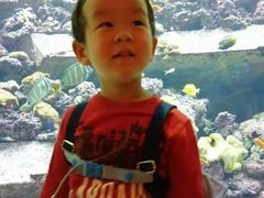 -亚龙湾海底世界
