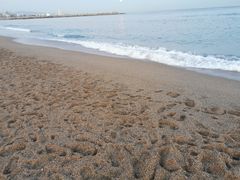 -小巴塞罗那海滩