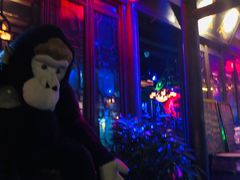 -周庄红庭演艺酒吧