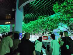 -福州罗源湾海洋世界旅游区