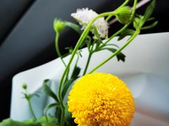 -法兰度航空主题餐厅(东汇城店)