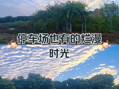 -立新湖公园