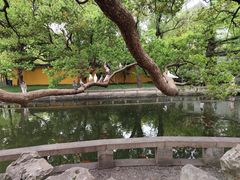 -西园戒幢律寺