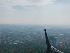 -杭州半山国家森林公园