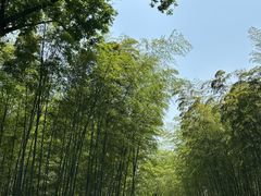 -浙江大学(玉泉校区)