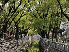 -安亭老街