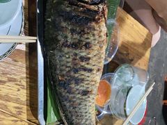 -杨合林啊兰烤鱼