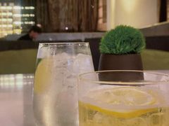 -天津东凯悦酒店·大堂吧