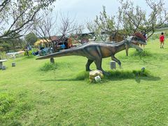 -上海海湾国家森林公园