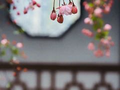 -莫愁湖公园